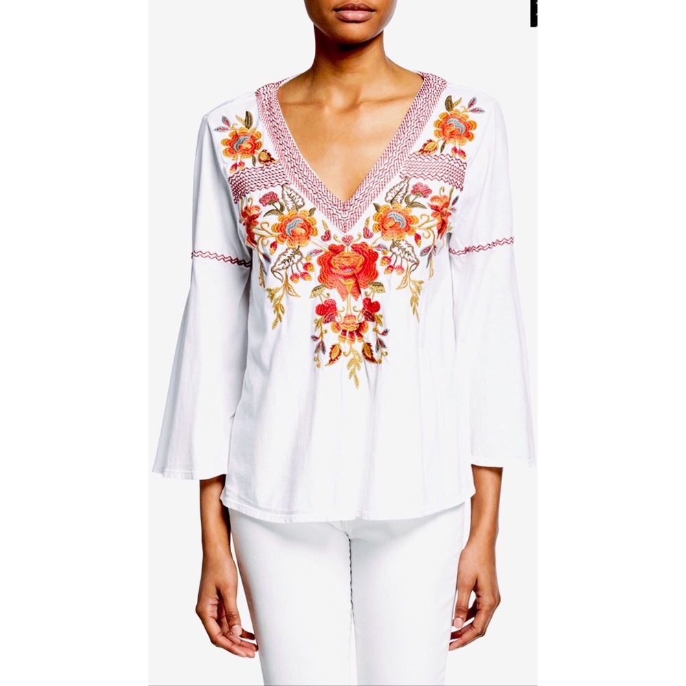 XL Johnny Was Embroidered Swing Blouse Top V-Neck - Picture 1 of 7